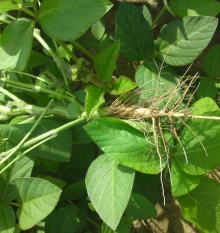 ������� � ������������� ���������� ��������� ������ �� ���������