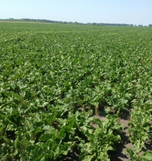 ���� � ����� 2012