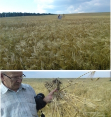 Архив до 2012 года