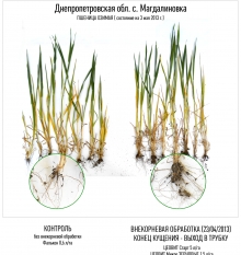 ������ ���������� ������ ����� � ������ ����� ��������