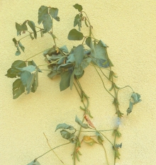 20/08/2014 ����������� ����� ���������� �������