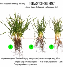 11/11/2014 ����������� ����� ���������� �������