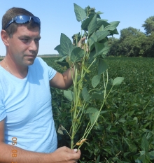 ���-2016. ������� ���. ���������� �-�