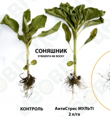 26/05/2017 Київська обл. Бориспільський р-н