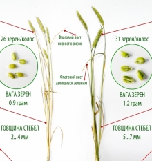 19/06/2017 ������������ �-�